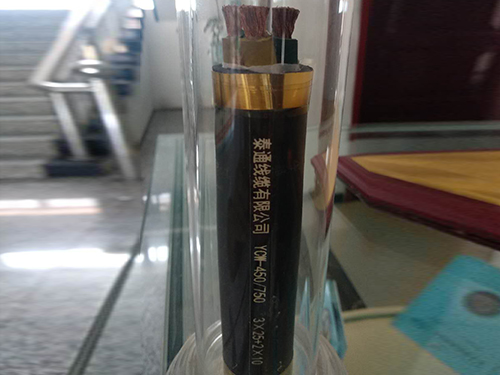 橡套軟電纜YCW-450